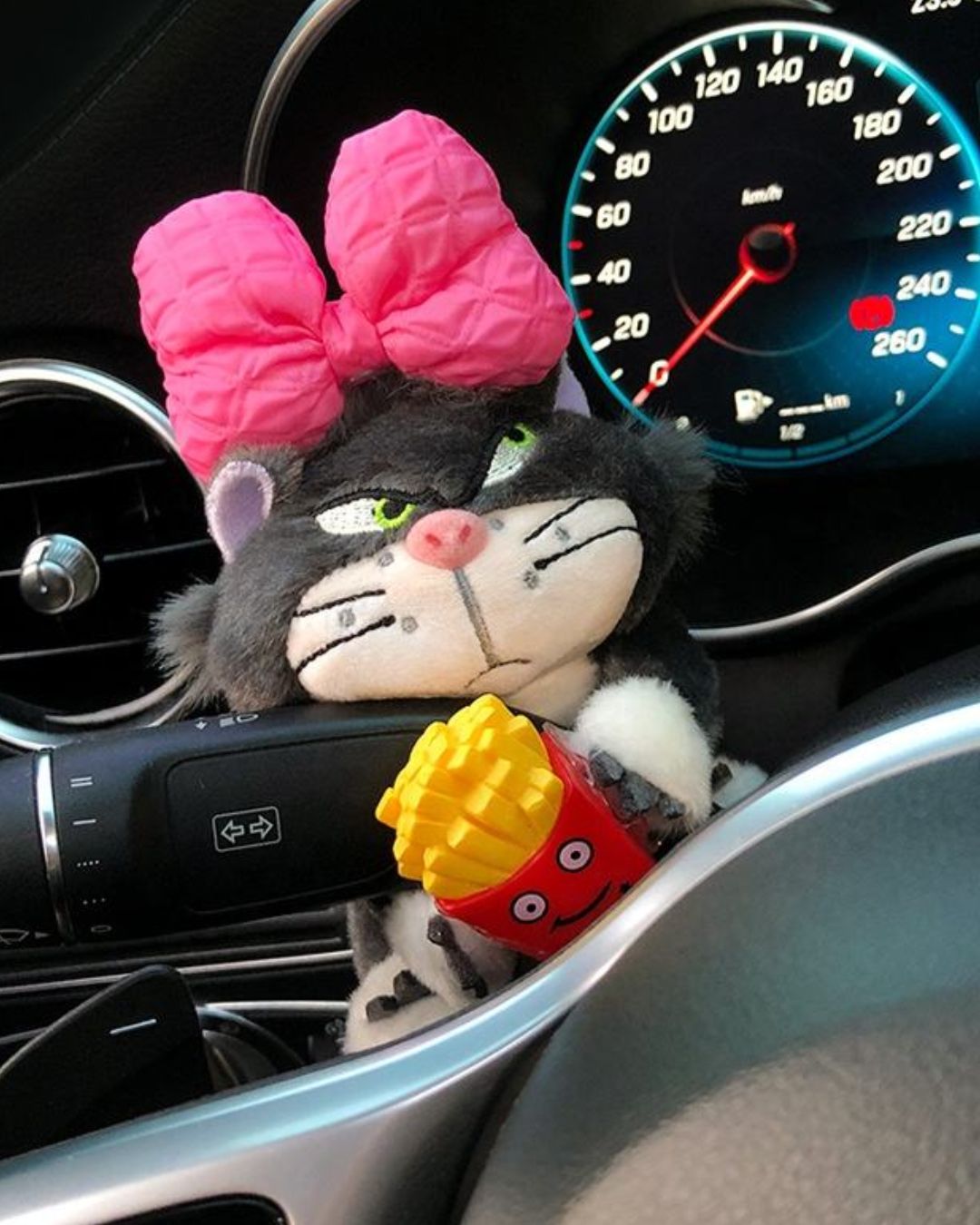Pink Bow Paws Car Ornament