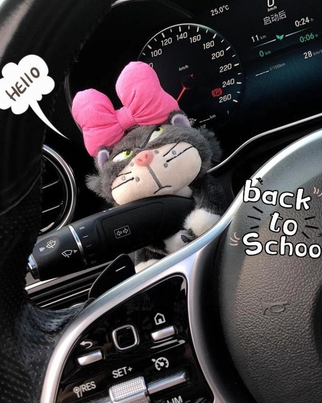 Pink Bow Paws Car Ornament